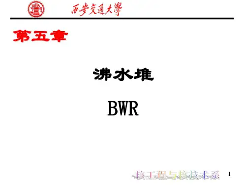 第五章 沸水堆