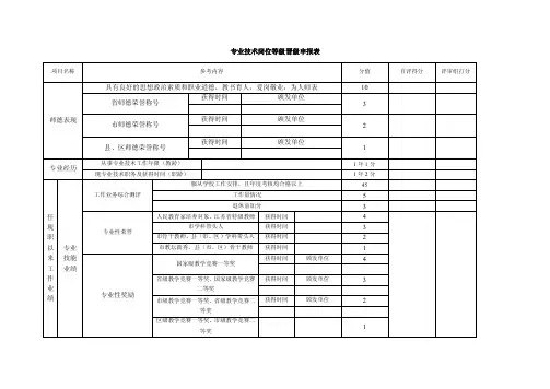 专业技术岗位等级晋级申报表（定稿）