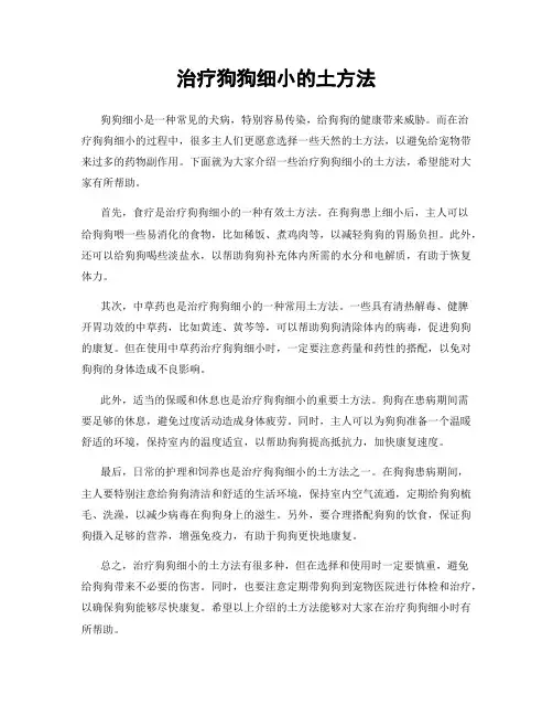 治疗狗狗细小的土方法