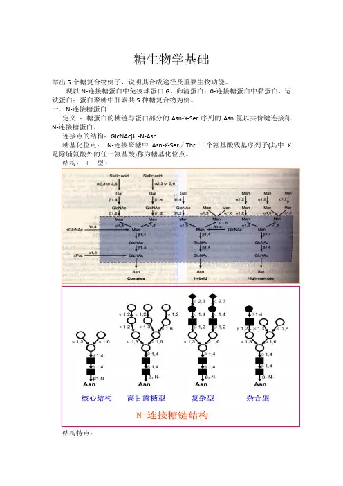 糖生物学基础