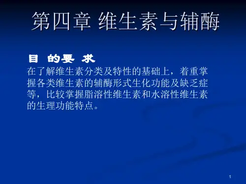维生素与辅酶