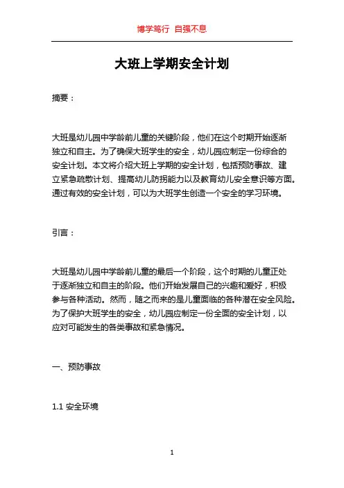 大班上学期安全计划