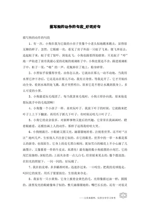 描写狗的动作的句段-好词好句