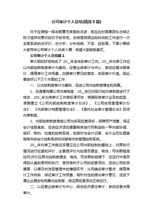 公司审计个人总结（精选5篇）