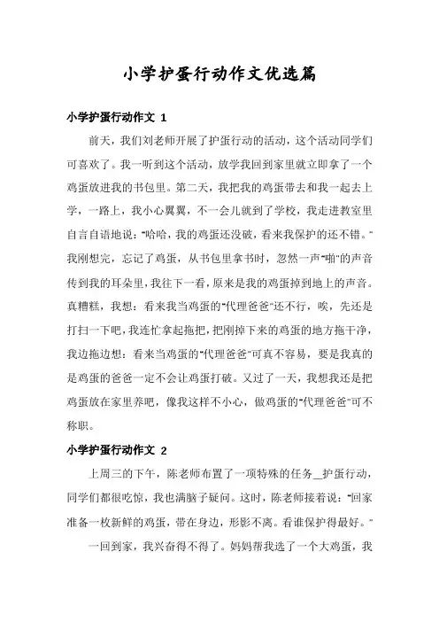 小学护蛋行动作文优选篇