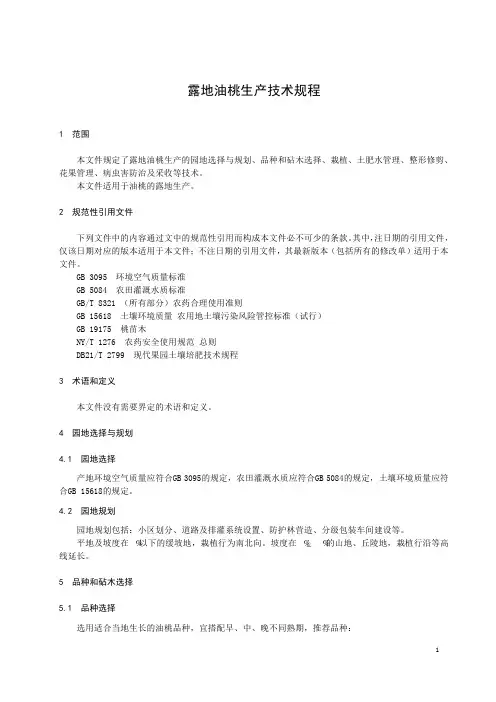 露地油桃生产技术规程DB21T 3706-2023