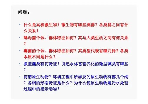 第三章  真核 微生物