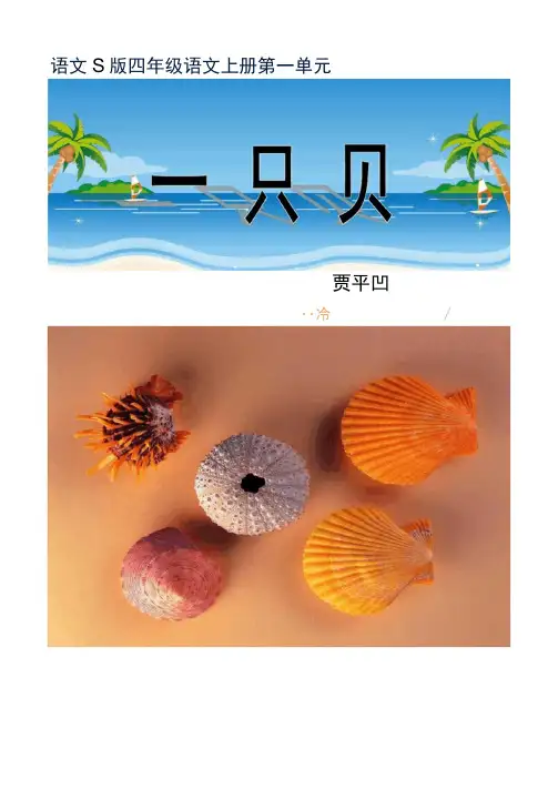 (语文S版)四年级语文上册课件一只贝.