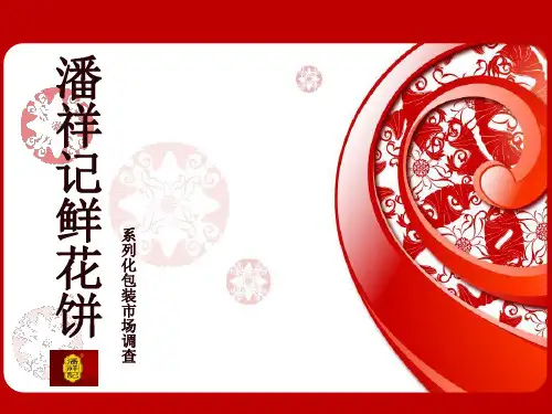 包装设计策划书
