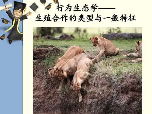 行为生态学