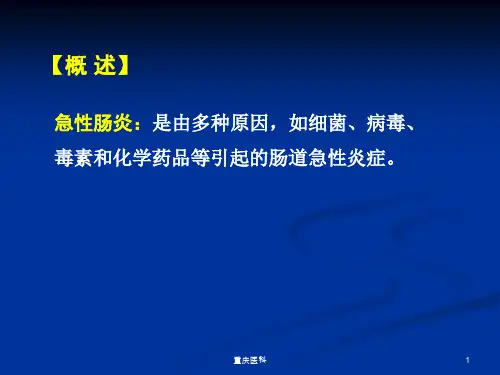 急性肠炎PPT课件