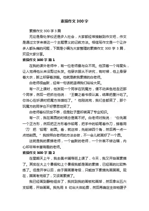 素描作文300字3篇