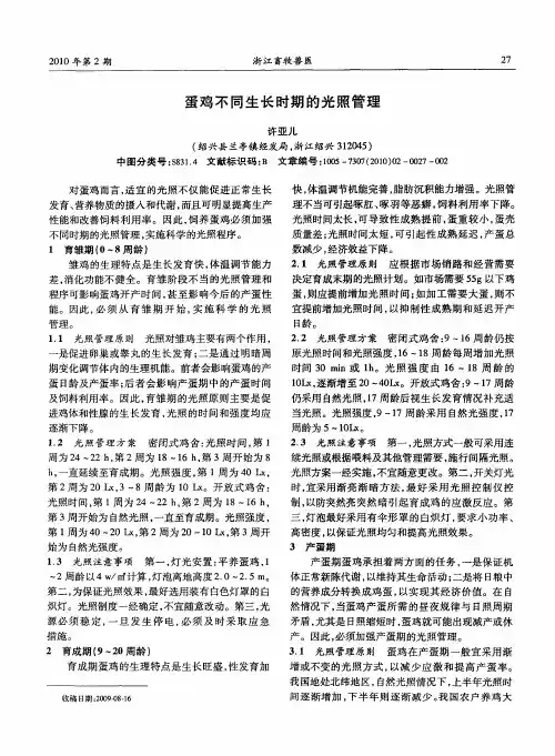 蛋鸡不同生长时期的光照管理