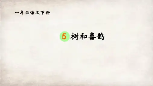 5树和喜鹊 课件(共23张PPT)