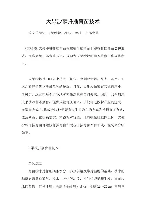 大果沙棘扦插育苗技术