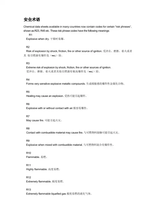 风险术语 安全术语
