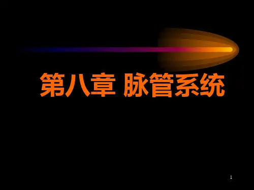 正常人体学基础 第八章 脉管系统