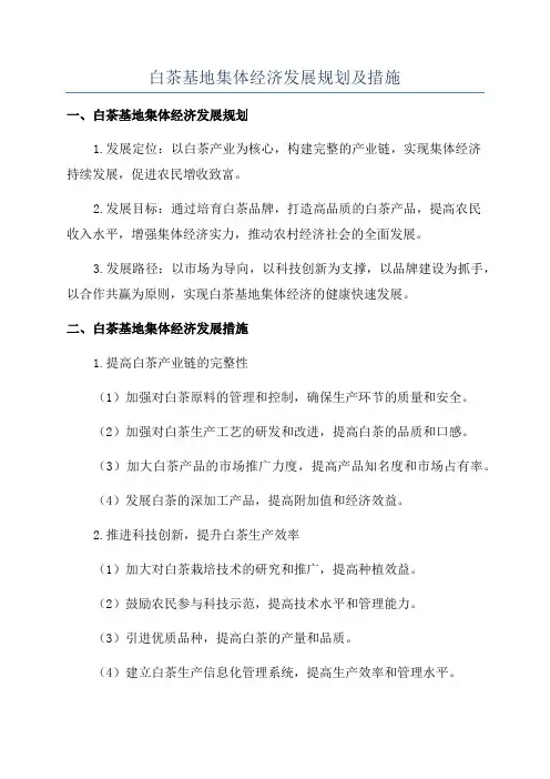 白茶基地集体经济发展规划及措施