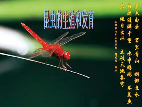 昆虫的生殖和发育