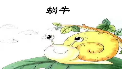 三年级科学上册科学课件-2.2蜗牛(一)｜教科版(共8张PPT)