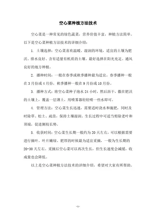 空心菜种植方法技术
