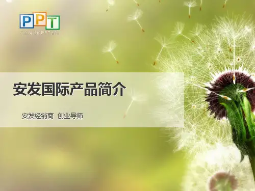安发国际事业说明及产品简介