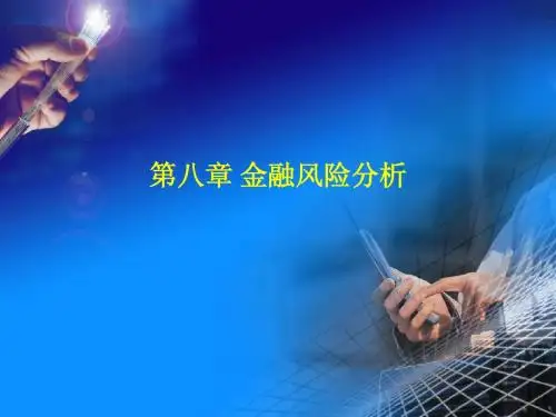 第八章金融风险分析