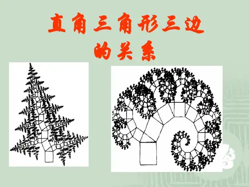 直角三角形三边的关系