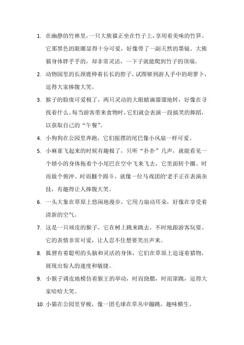 描写有趣的动物的段落 (2)