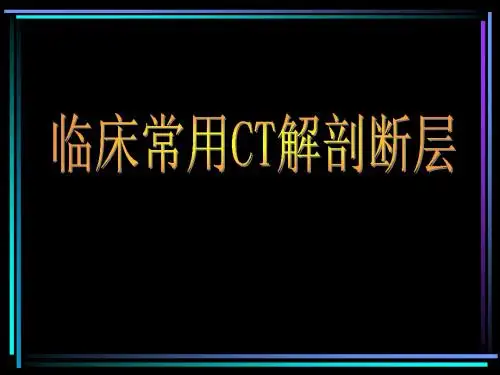 腹部常用临床影像学断面