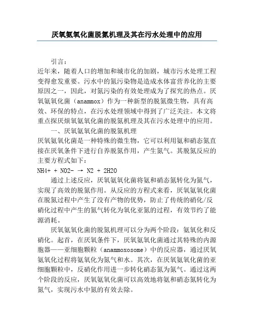 厌氧氨氧化菌脱氮机理及其在污水处理中的应用