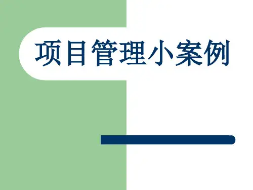 项目管理小案例