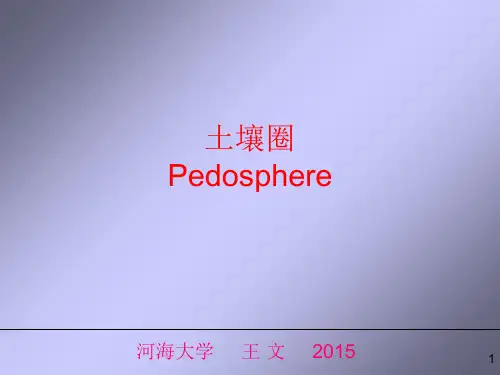 自然地理-chp06 土壤圈