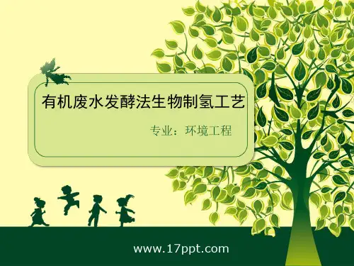 发酵法生物制氢技术..