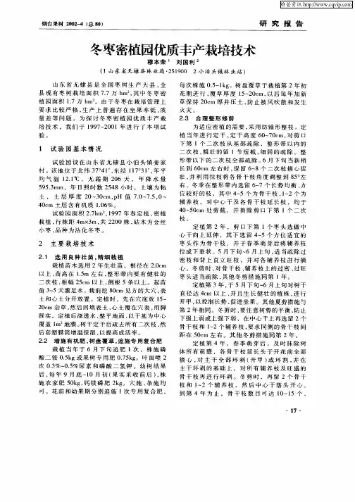 冬枣密植园优质丰产栽培技术