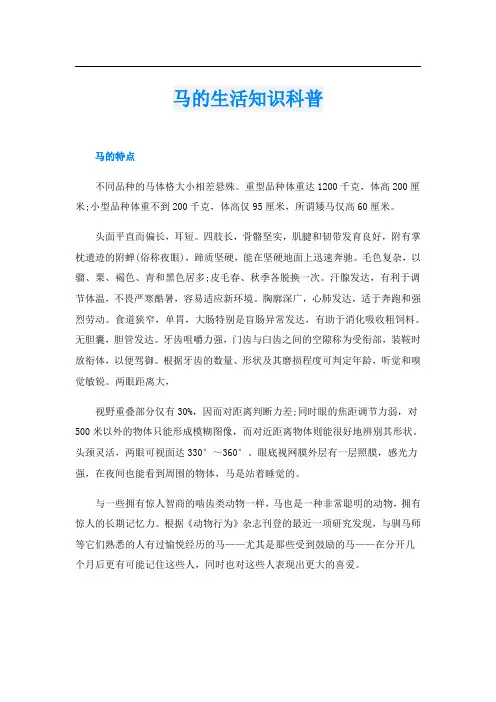 马的生活知识科普