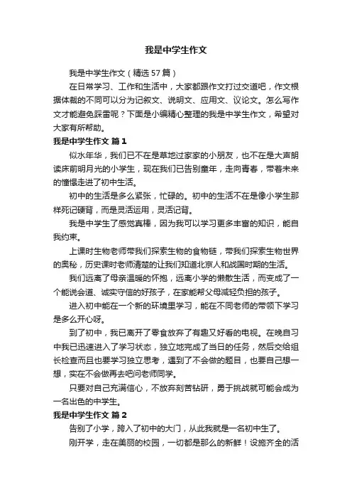 我是中学生作文
