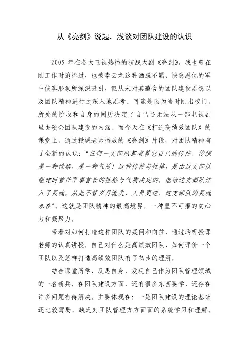从《亮剑》说起,浅谈对团队建设的认识