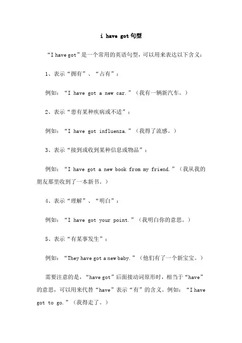 i have got句型