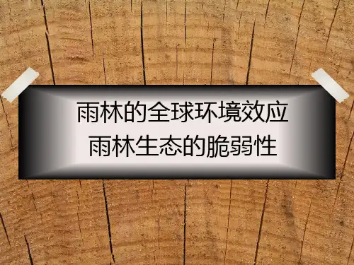 高中地理必修3精品课件14：2.2.1雨林的全球环境效应 雨林生态的脆弱性