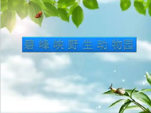 碧峰峡游玩1
