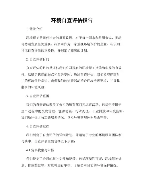 环境自查评估报告