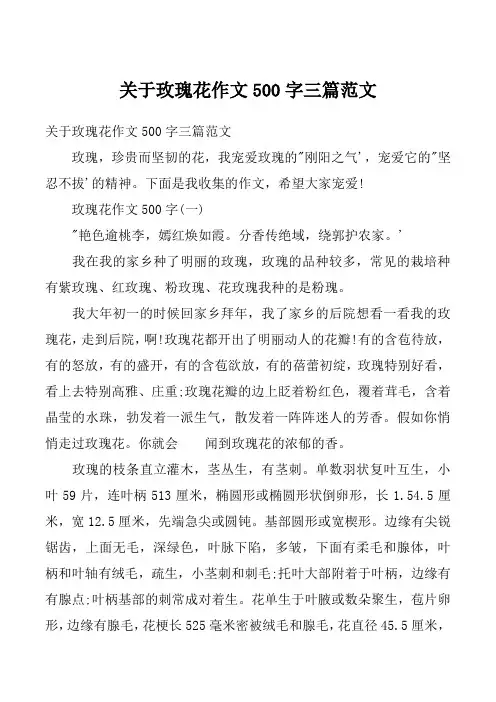 关于玫瑰花作文500字三篇范文
