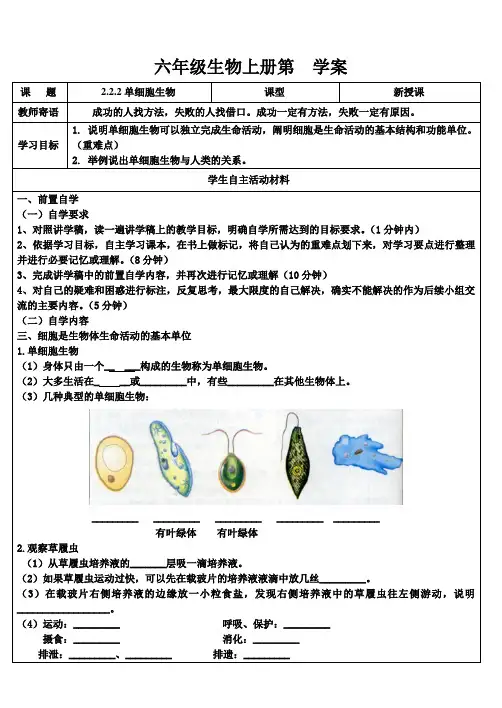 初中生物《单细胞生物》学案