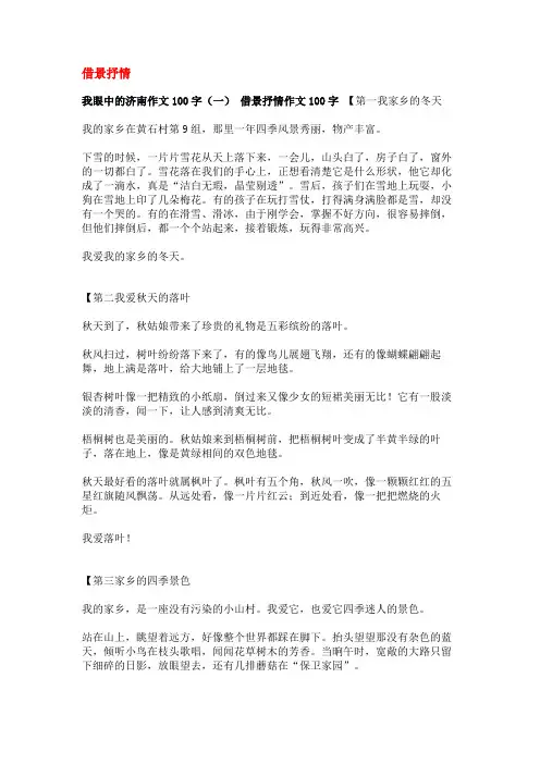 我眼中的济南作文100字