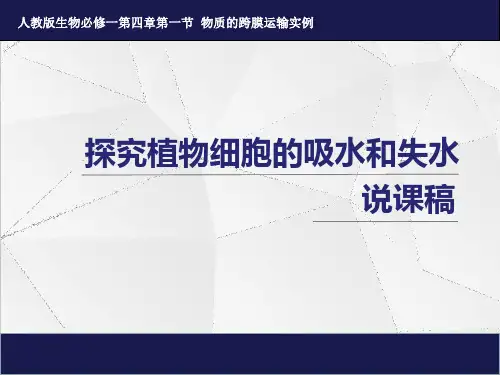 质壁分离说课课件