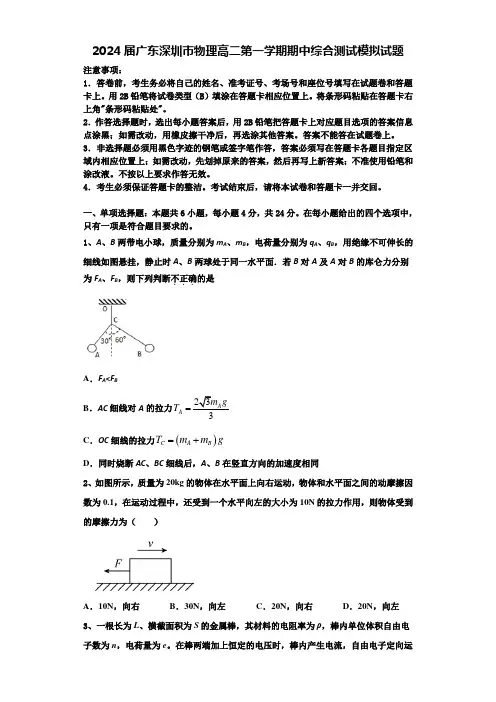 2024届广东深圳市物理高二第一学期期中综合测试模拟试题含解析