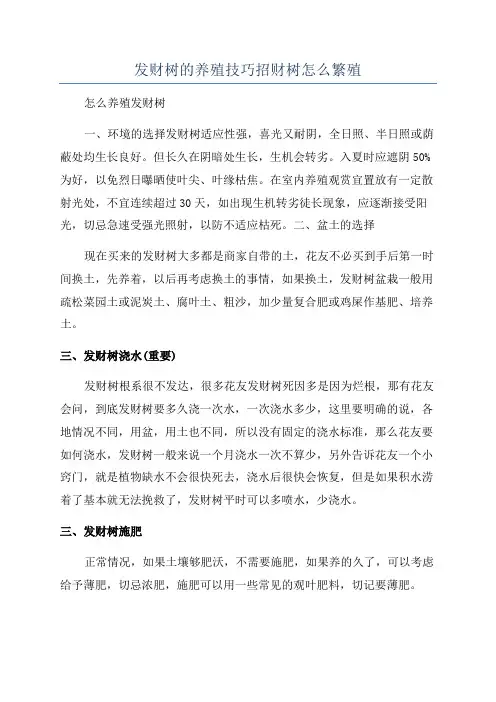 发财树的养殖技巧招财树怎么繁殖