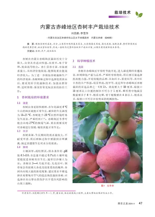 内蒙古赤峰地区杏树丰产栽培技术