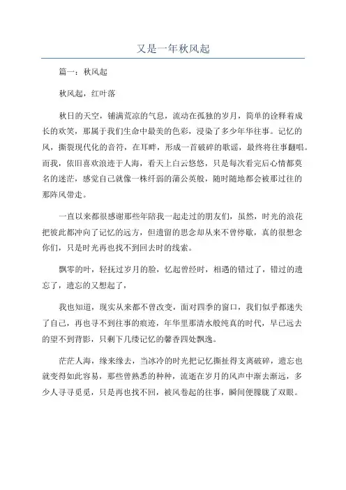 又是一年秋风起